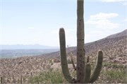 Tucson 2583